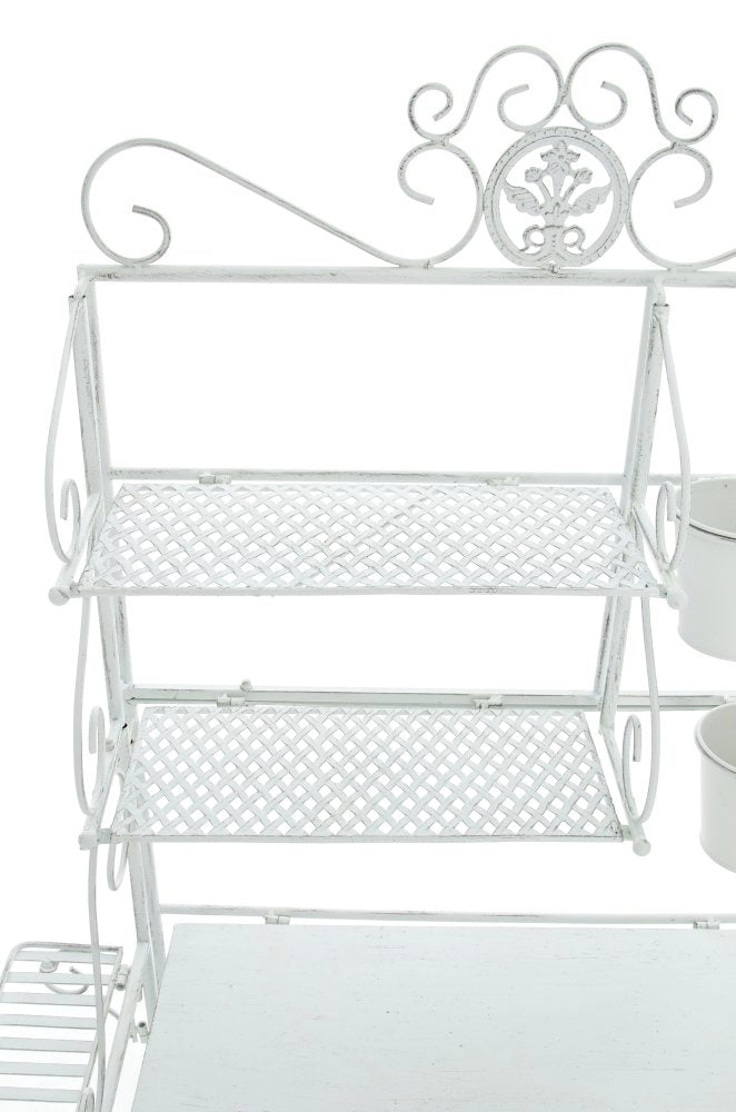 XL Pflanzregal Shine – Ansicht 6
