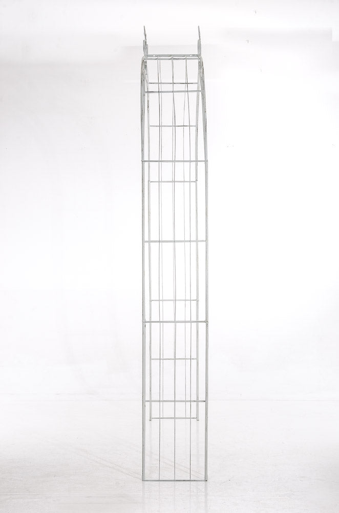 Rosenbogen Sun – Ansicht 4