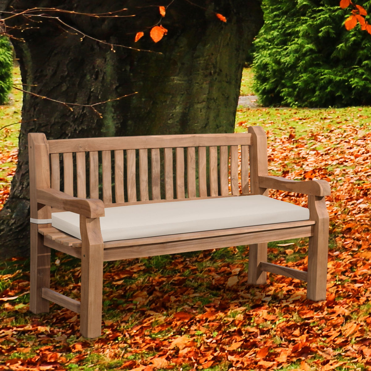 Teakbank Jackson mit Sitzkissen 150 cm + teak – Ansicht 2