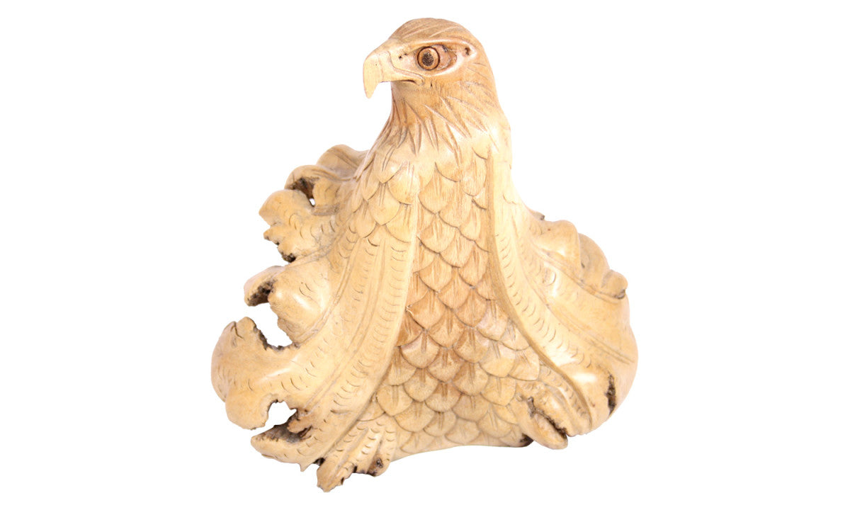 Parasitholz Adler