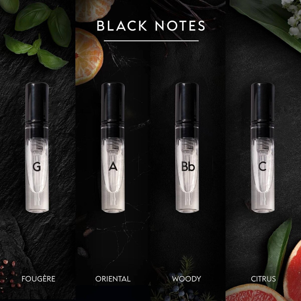 10 x GAMMON Black Notes Parfum Explorer-Set (4x2 ml) Herrenduft Parfum Duftset Probierset mit 20% Duftölanteil – Ansicht 6