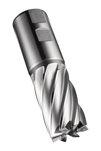 Schaftfräser C247 DIN 844 K D24mm Schneiden-L45mm HSS-E-PM Blank 30Grad Z5