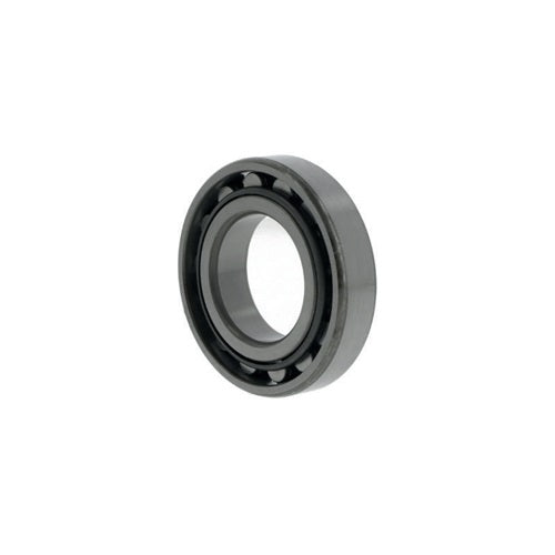 Zylinderrollenlager N209 ID 45mm AD 85mm Breite19mm NACHI