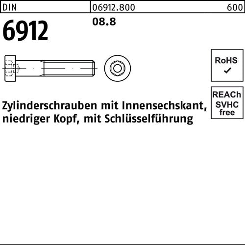 Zylinderschraube DIN 6912 Innen-6kt M36x 70 88 1 Stück
