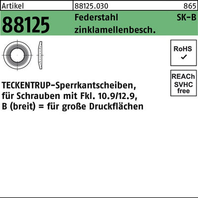 Sperrkantscheibe R 88125 B 12x323x28 Federst zinklamellenb 100St TECKENTRUP - VPE: 100
