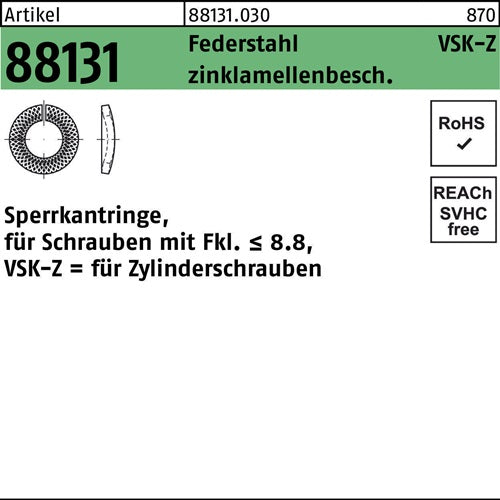 Sperrkantring R 88131 VSK-Z 20x306x45 Federstahl zinklamellenb 100St - VPE: 100