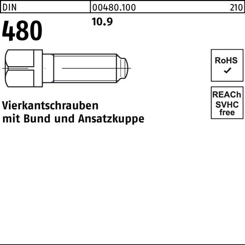 Vierkantschraube DIN 480 mBund/Ansatzkuppe M 10 x 50 109 50 Stück