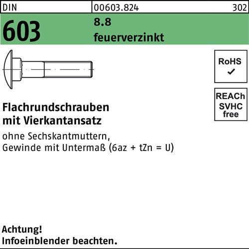 Flachrundschraube DIN 603 mVierkantansatz M 10 x 40 88 feuerverzinkt 100 Stück