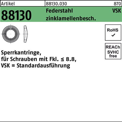Sperrkantring R 88130 VSK 6x118x13 Federstahl zinklamellenb 2000St - VPE: 2000