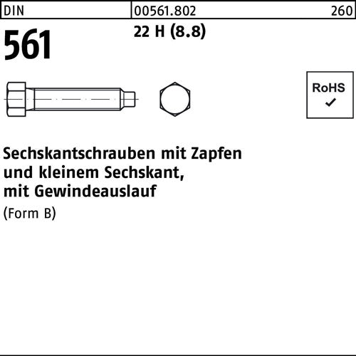 Sechskantschraube DIN 561 mZapfen BM 10 x 100 22 H (88) 50 Stück
