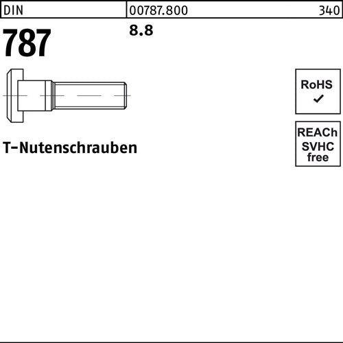 T-Nutenschraube DIN 787 16 M 16 x 160 88 10 Stück