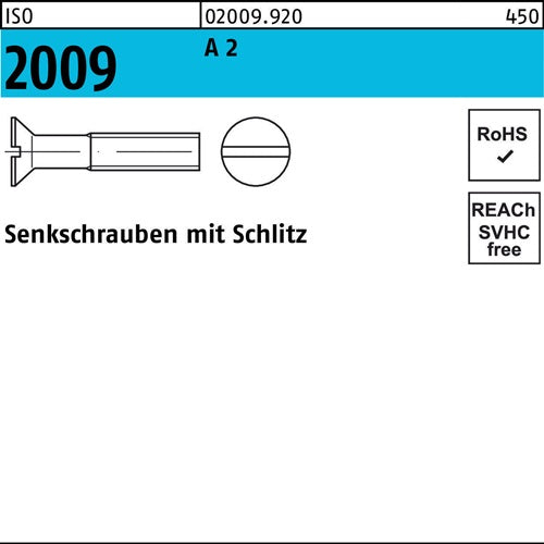 Senkschraube ISO 2009 mSchlitz M 25 x 8 A 2 1000 Stück