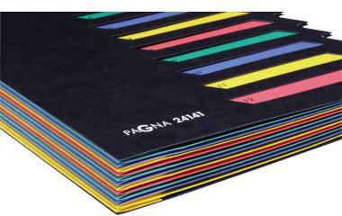 Ordnungsmappe PAGNA Deskorganizer Classic DIN A4 Pressspan Farbe: schwarz Farbe des Fächerblocks: mehrfarbig 12 Fächer PAGNA