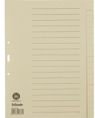Ordnerregister Esselte DIN A4 blanko Papier chamois 20 Registerblätter ESSELTE