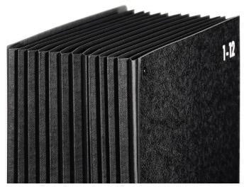 Pultordner PAGNA Classic DIN A4 1-12 Jan-Dez Hartpappe 80 % recycelt schwarz 12 Fächer PAGNA