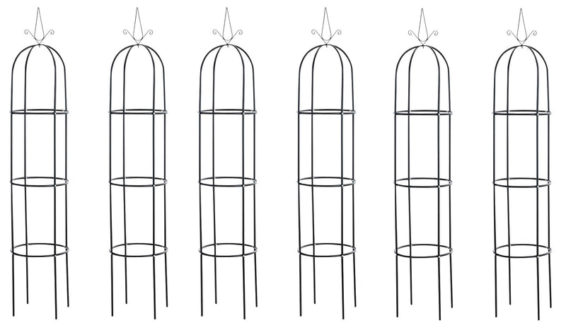 6er Set Rosensäule Romantika
