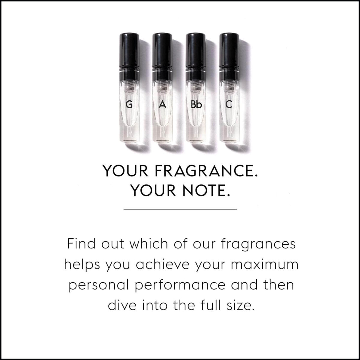 5 x GAMMON Black Notes Parfum Explorer-Set (4x2 ml) Herrenduft Parfum Duftset Probierset mit 20% Duftölanteil – Ansicht 6