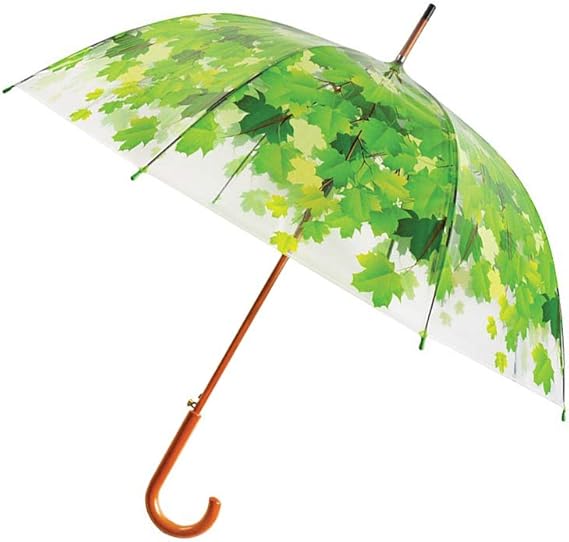 Regenschirm Schirm Baumkrone