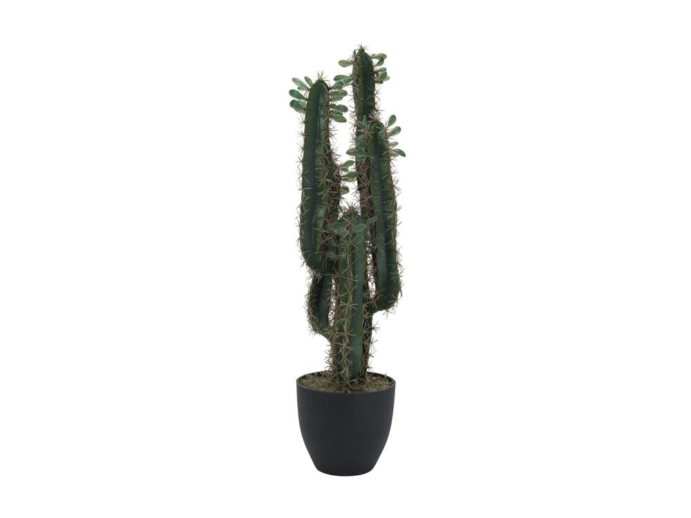 EUROPALMS Mexikanischer Kaktus mit Blättern 75cm