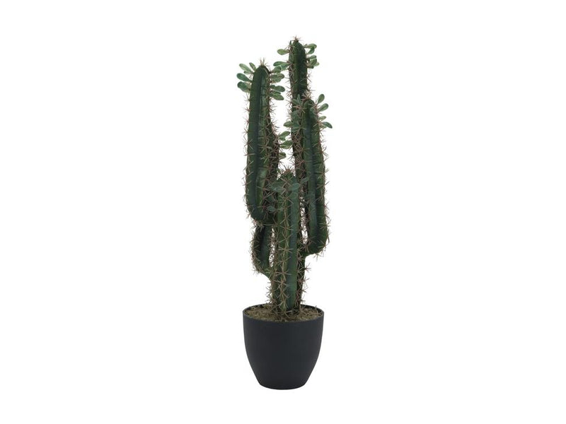 EUROPALMS Mexikanischer Kaktus mit Blättern 75cm