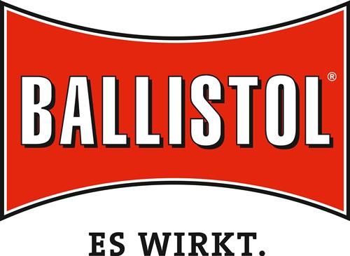 Zylinderspray 50 ml Spraydose BALLISTOL 6 Stück