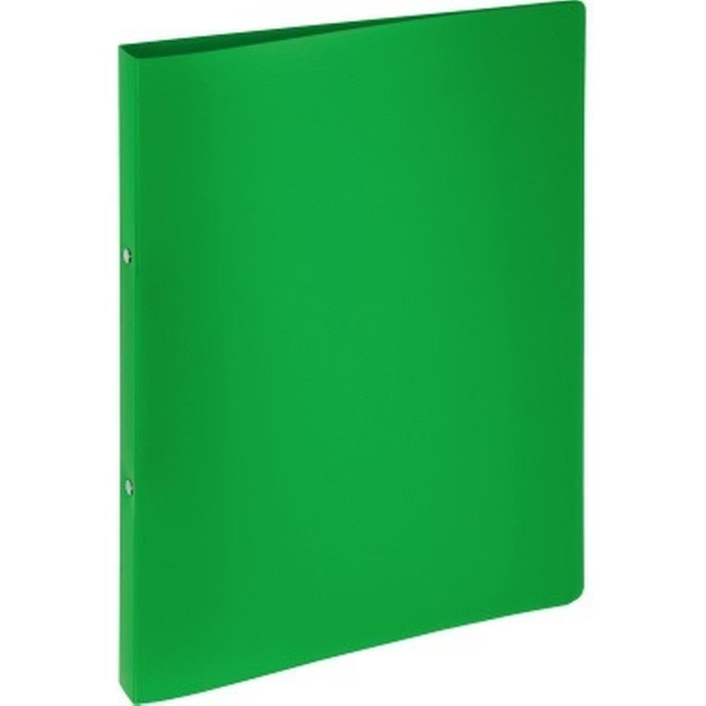 Pagna Ringbuch A4 16mm PP 2-Ring-Mechanik grün 1 Stück