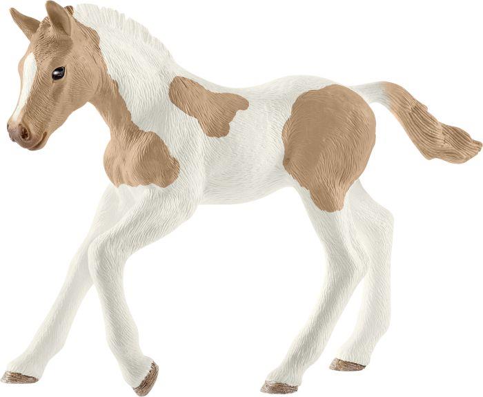 HC Paint Horse Fohlen - VPE: 5