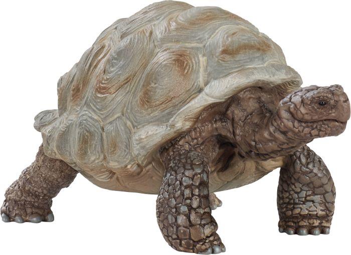 Riesenschildkröte - VPE: 5
