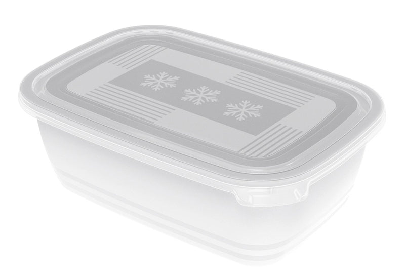 ROTHO Gefrierdose 'Freeze' 2er Pack 2 x 19 l - VPE: 4