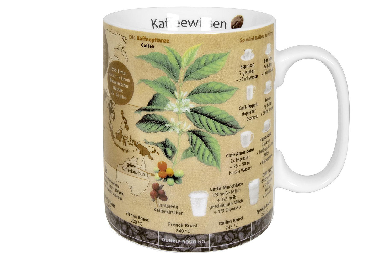 KÖNITZ Kaffeebecher 'Wissensbecher Kaffeewissen' - VPE: 6