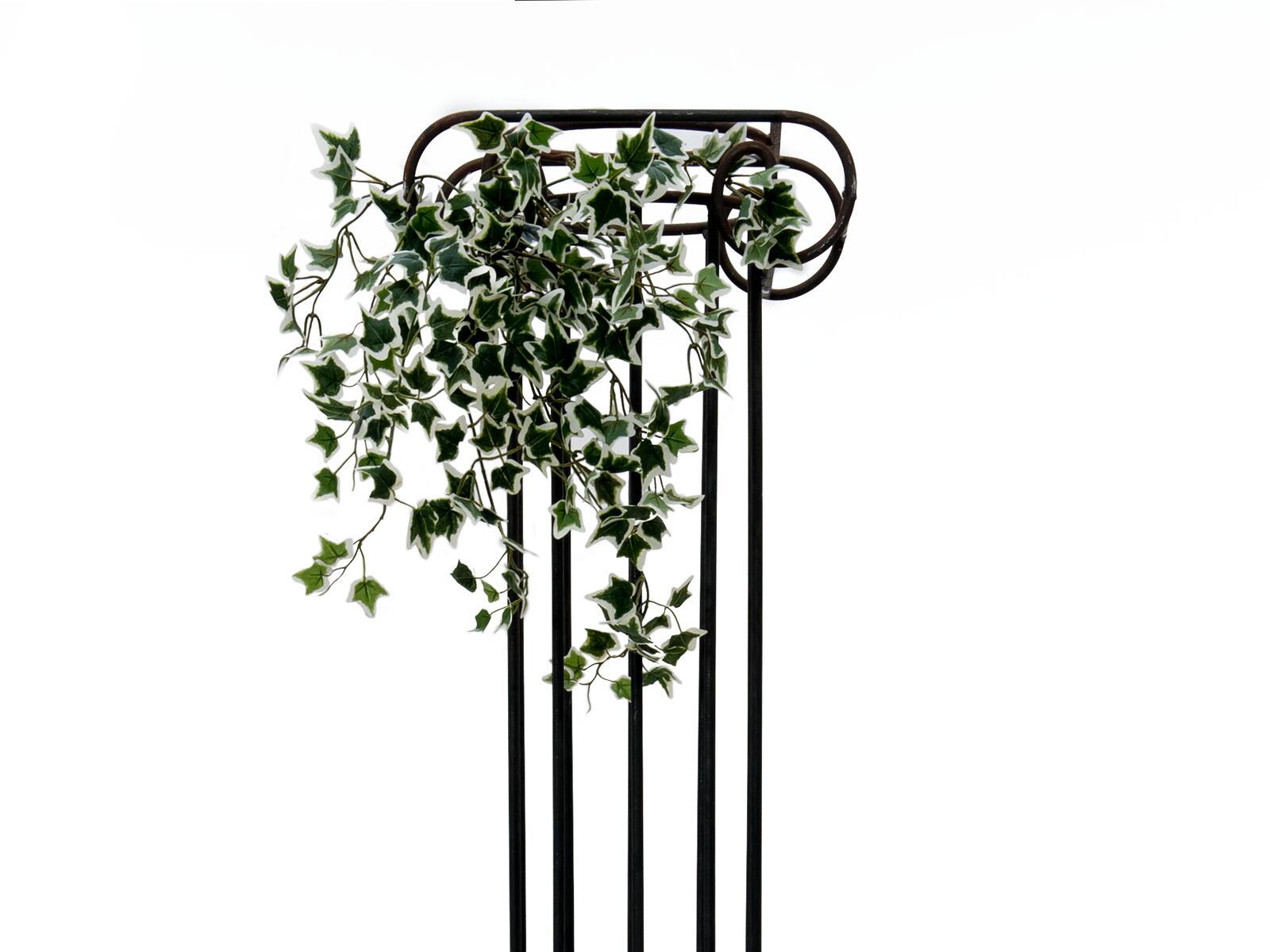 EUROPALMS Holland-Efeubuschranke Classic künstlich 60cm