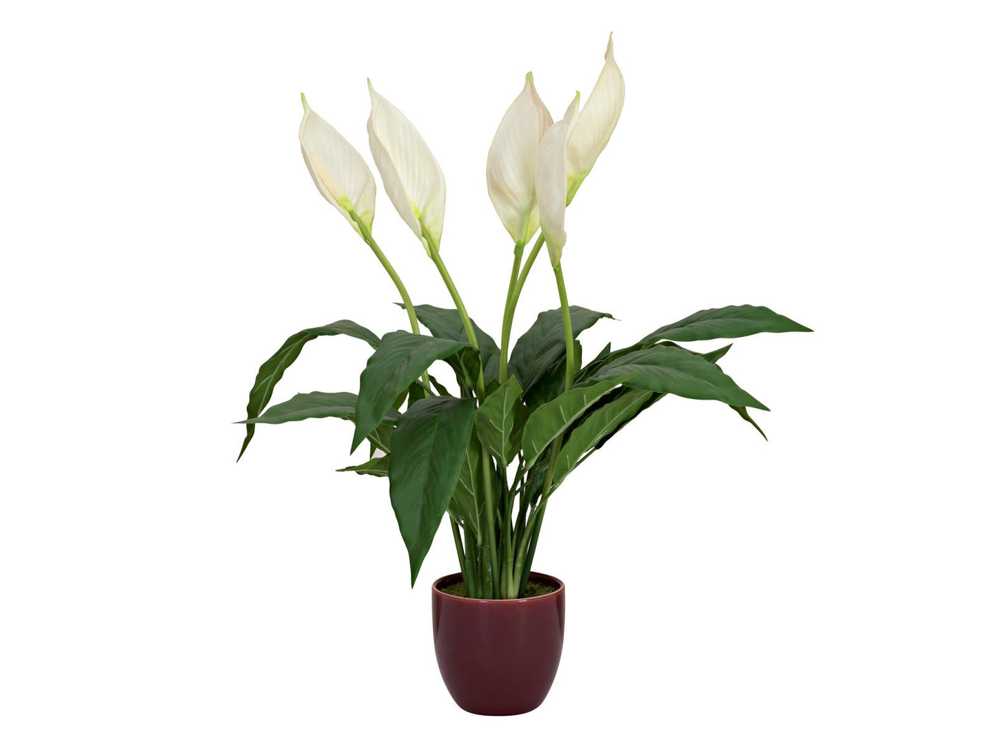 EUROPALMS Einblatt Kunstpflanze 60cm
