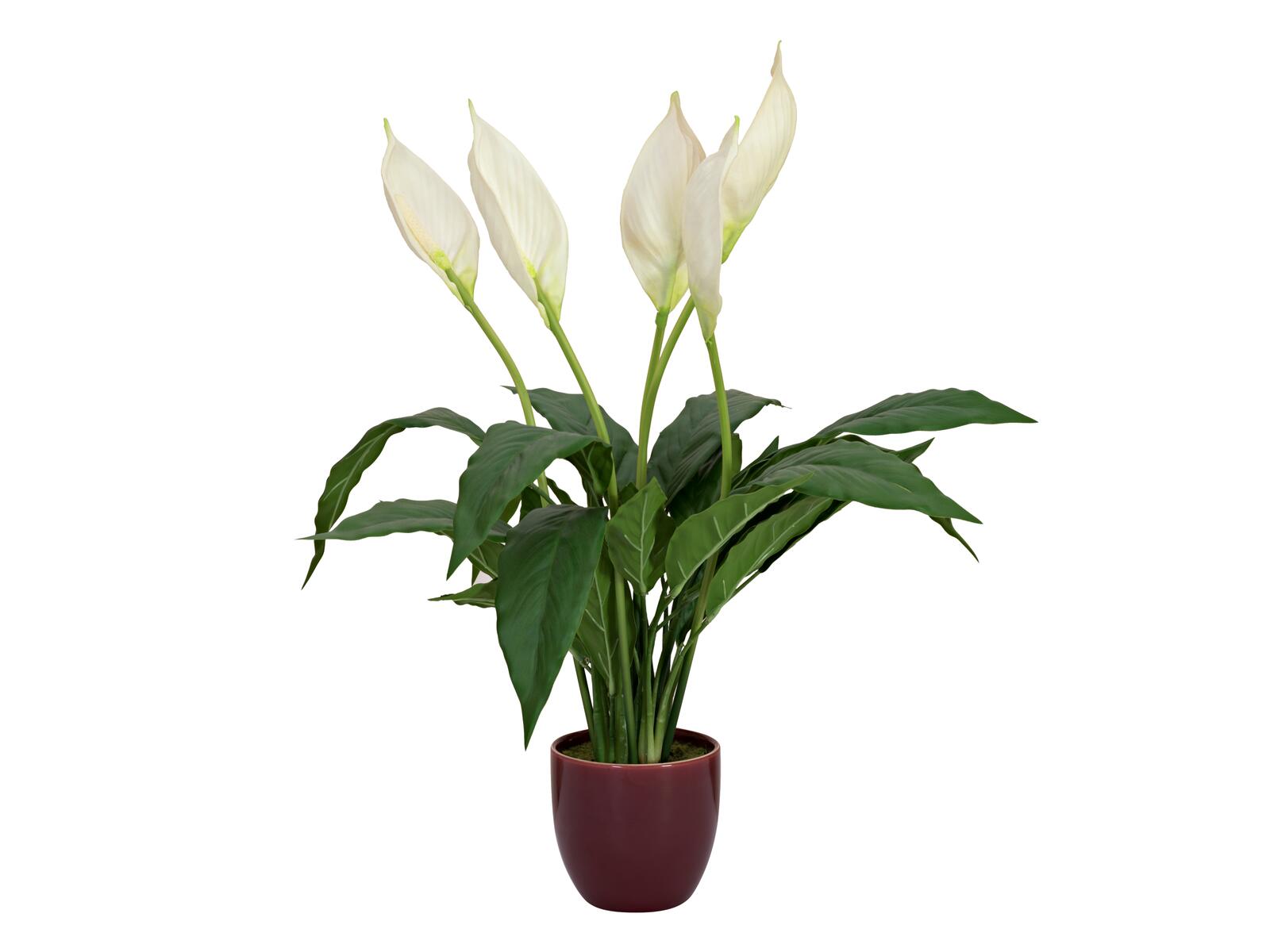 EUROPALMS Einblatt Kunstpflanze 60cm