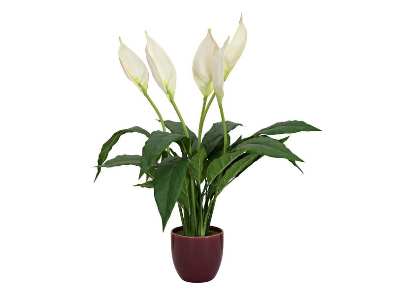 EUROPALMS Einblatt Kunstpflanze 60cm