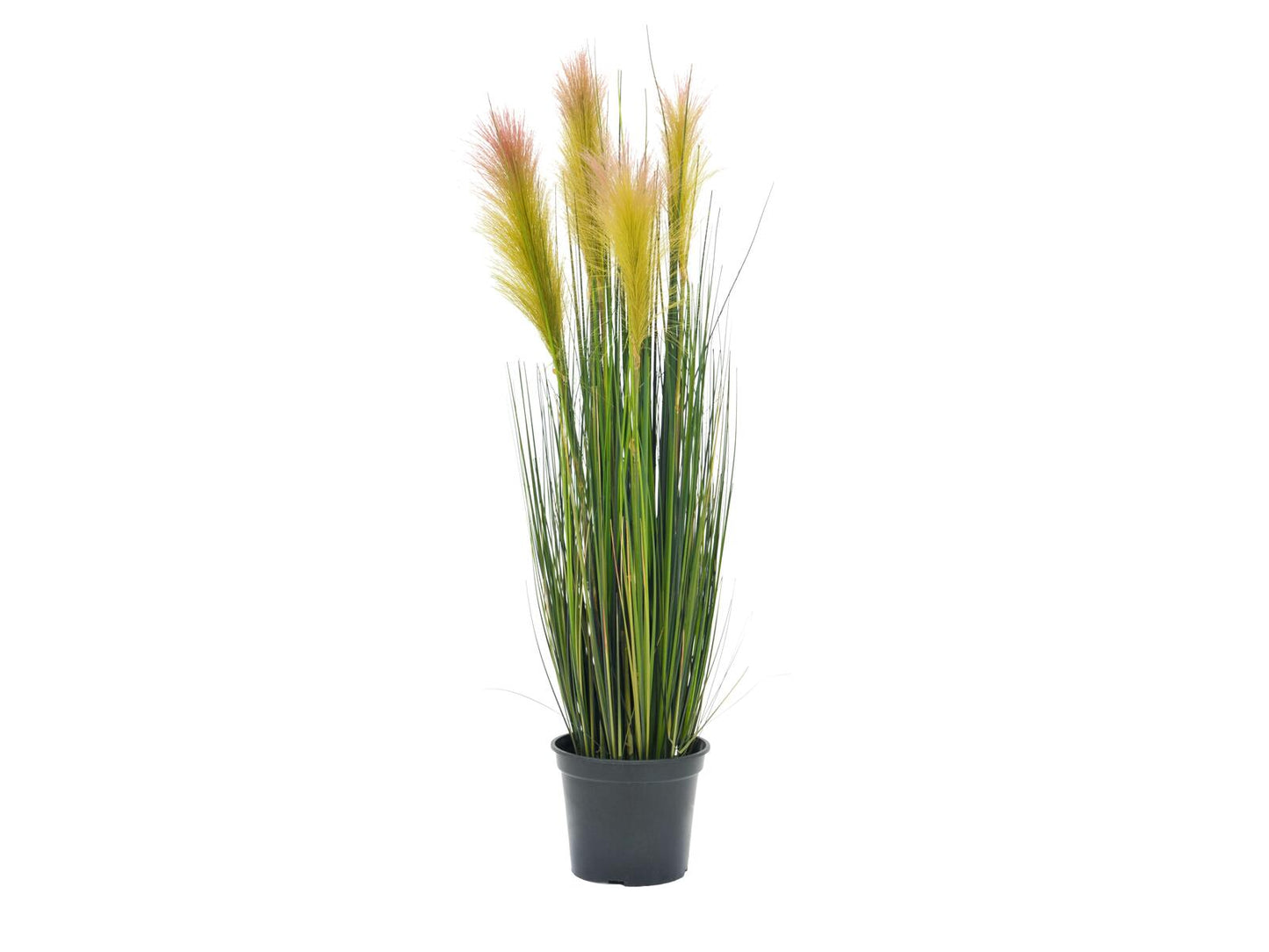 EUROPALMS Federgras künstlich rosé 90cm