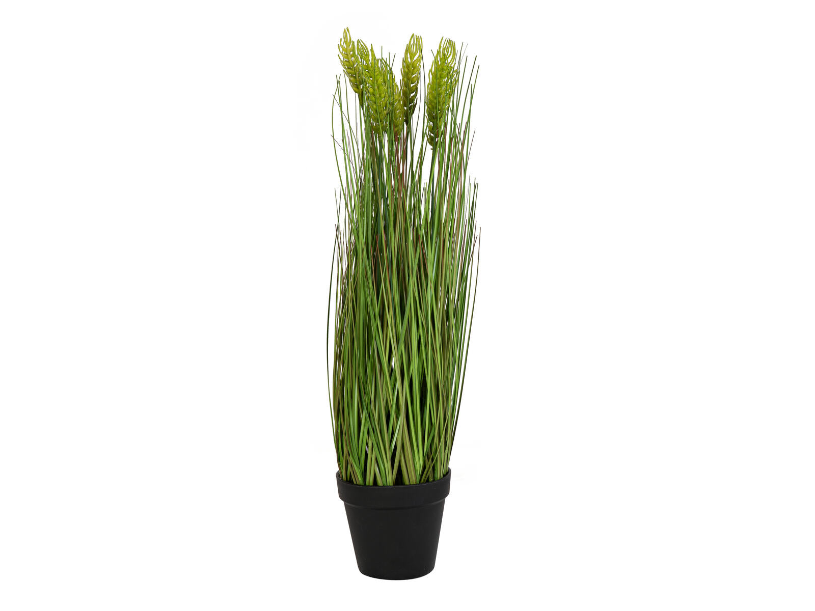 EUROPALMS Weizen Frühsommer künstlich 60cm