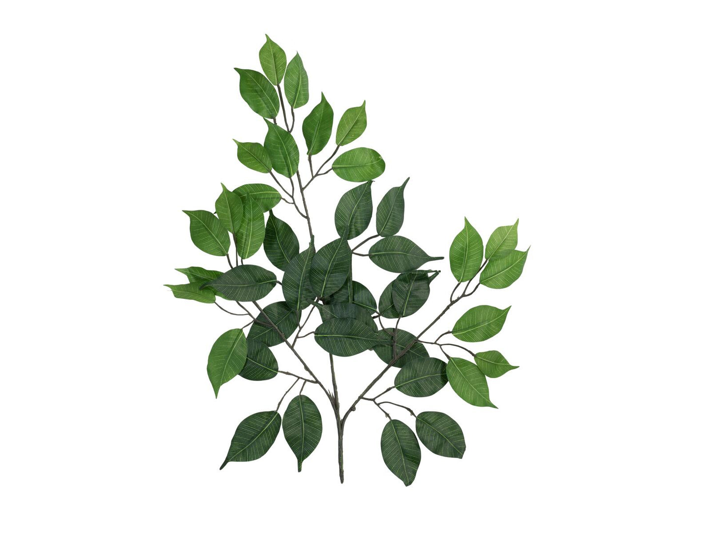 EUROPALMS Ficuszweiß Benjamina künstlich 12x