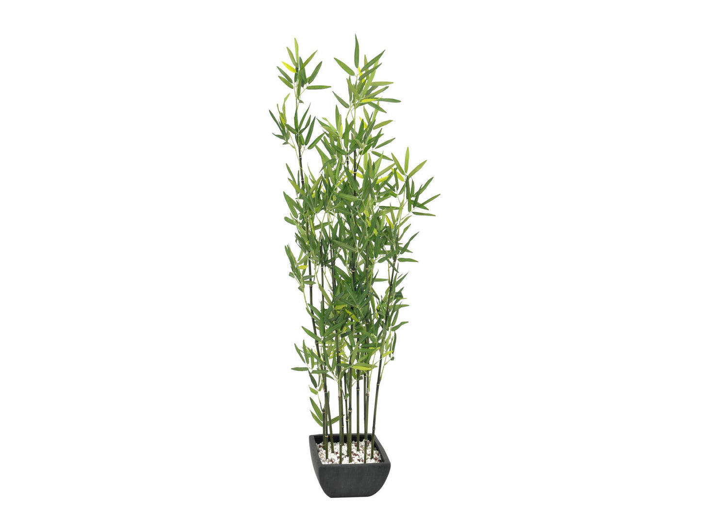 EUROPALMS Zierbambus in Dekoschale künstlich 120cm