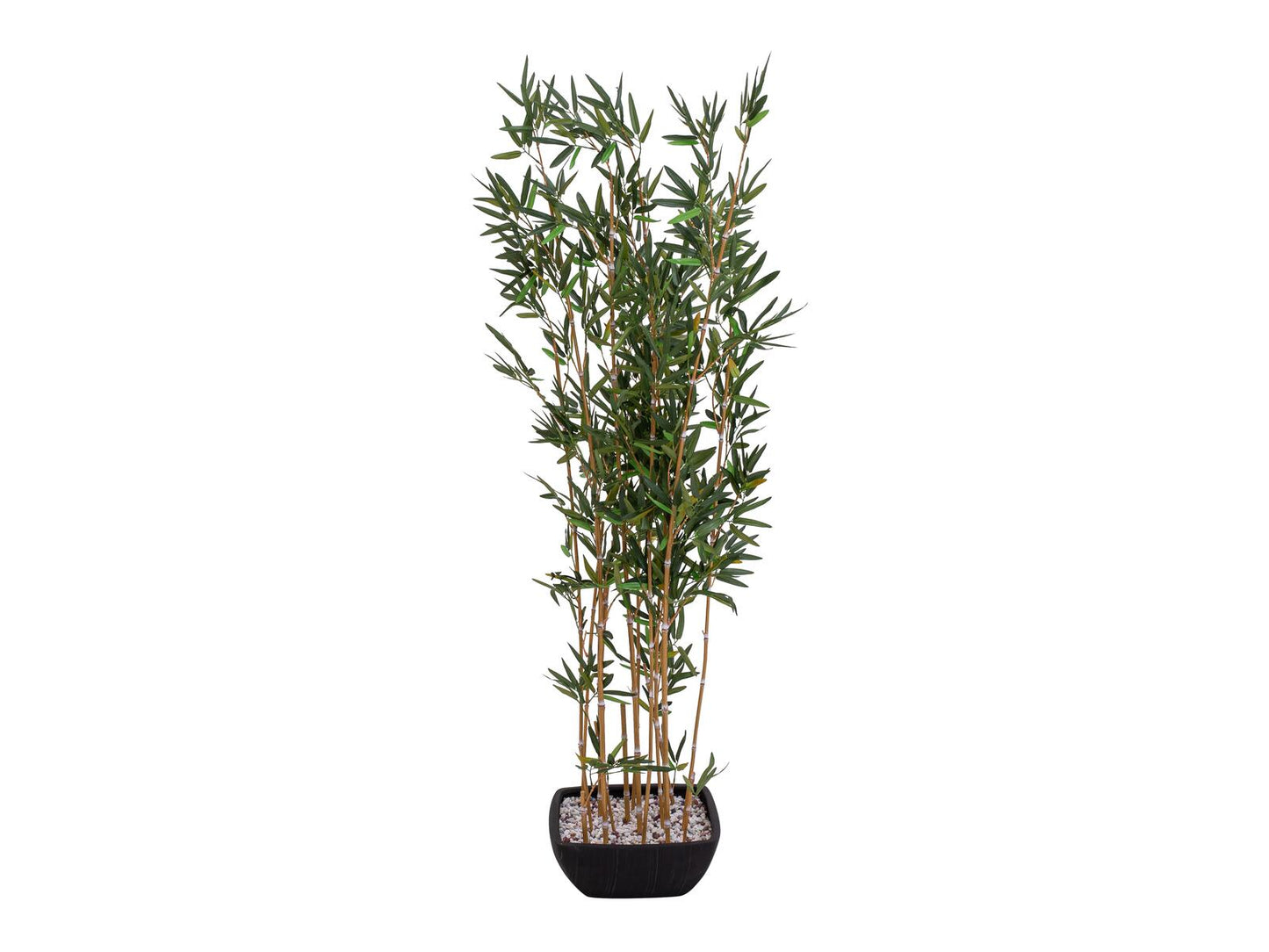 EUROPALMS Zierbambus in Dekoschale künstlich 150cm