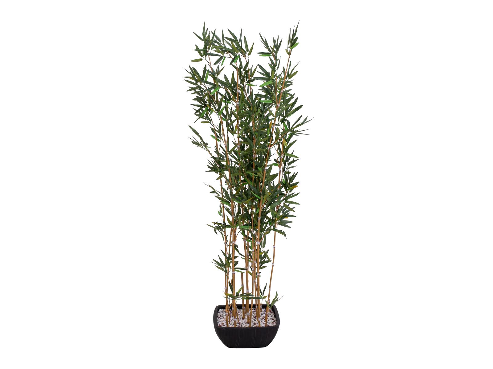EUROPALMS Zierbambus in Dekoschale künstlich 150cm