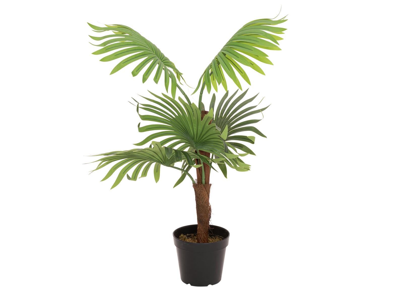 EUROPALMS Fächerpalme Kunstpflanze 88cm