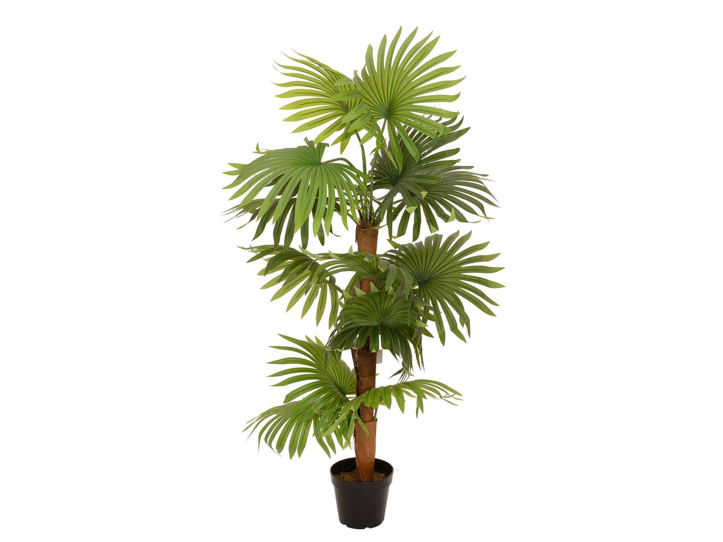 EUROPALMS Fächerpalme Kunstpflanze 130cm