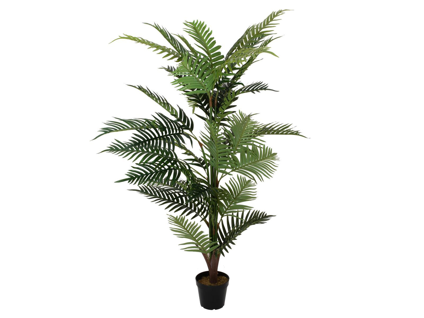 EUROPALMS Areca Palme Kunstpflanze 150cm