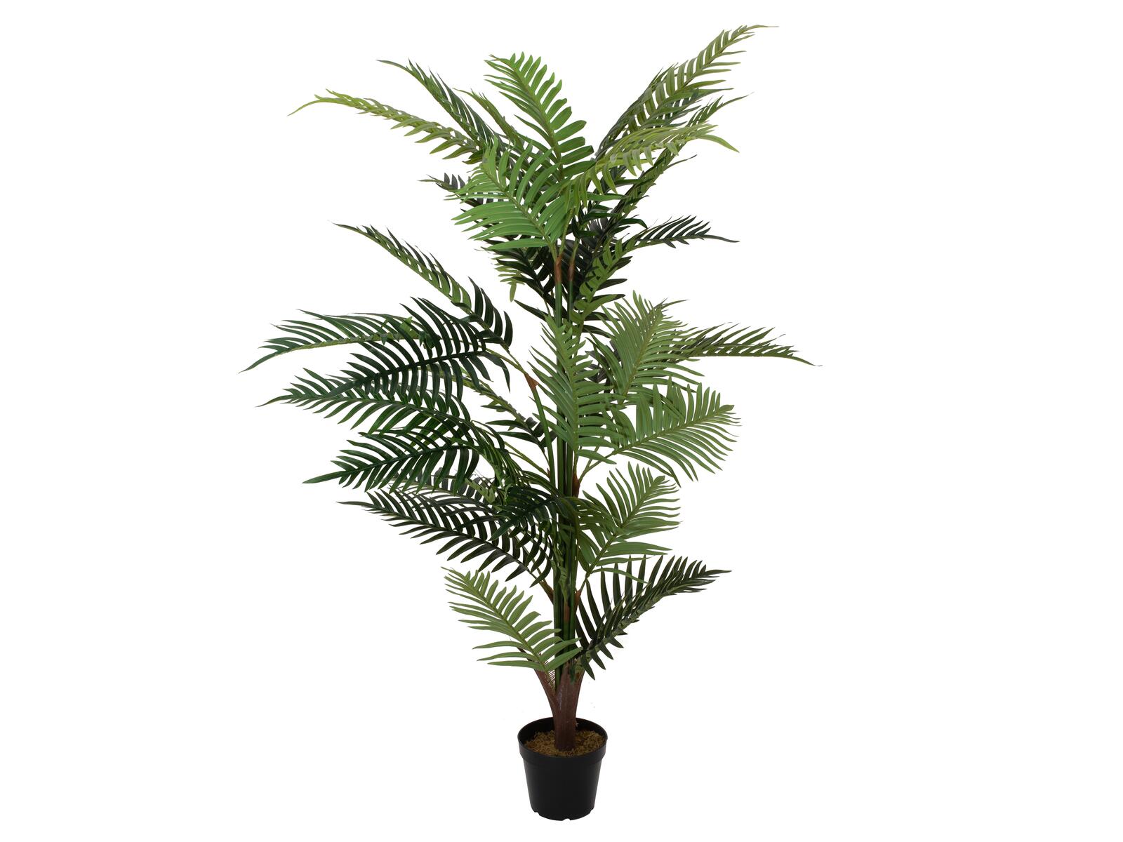 EUROPALMS Areca Palme Kunstpflanze 150cm