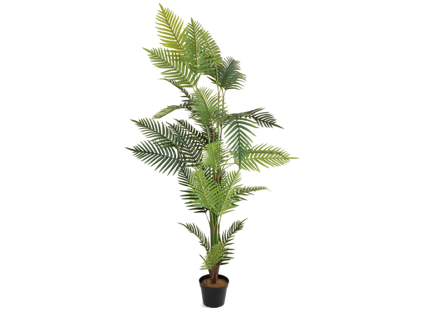 EUROPALMS Areca Palme Kunstpflanze 180cm