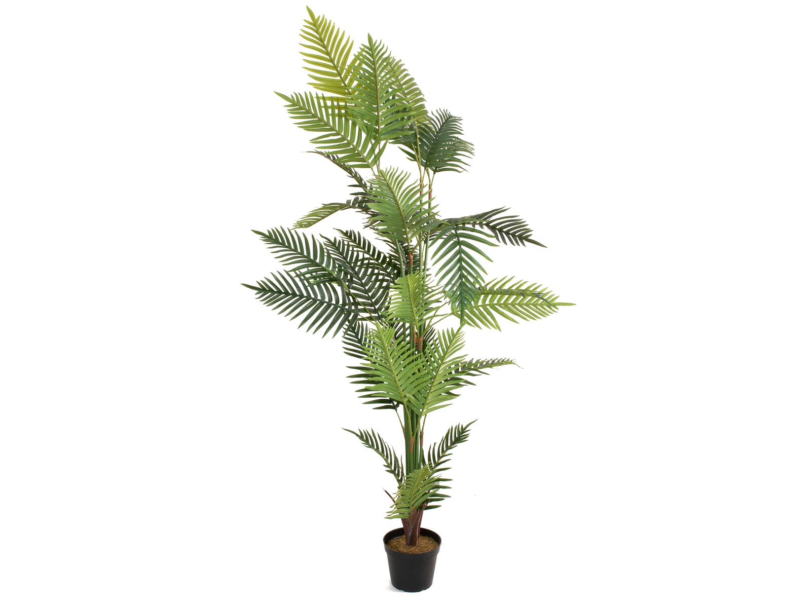EUROPALMS Areca Palme Kunstpflanze 180cm