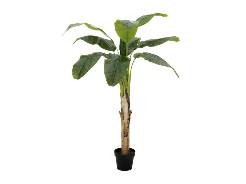 EUROPALMS Bananenbaum Kunstpflanze 145cm