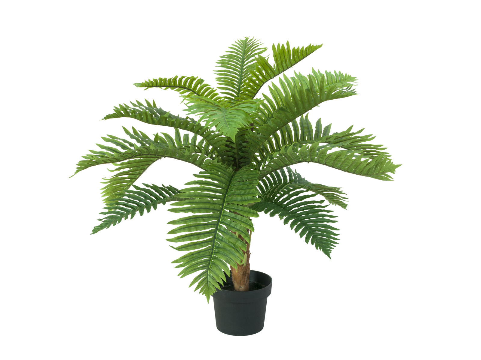 EUROPALMS Cycas Palme Kunstpflanze 70cm