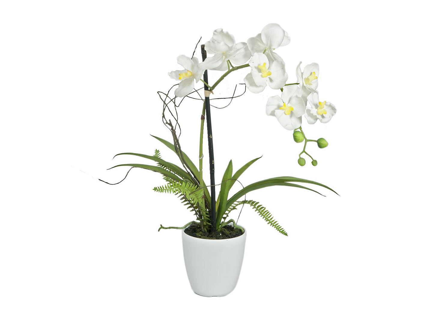 EUROPALMS Orchideen-Arrangement 1 künstlich