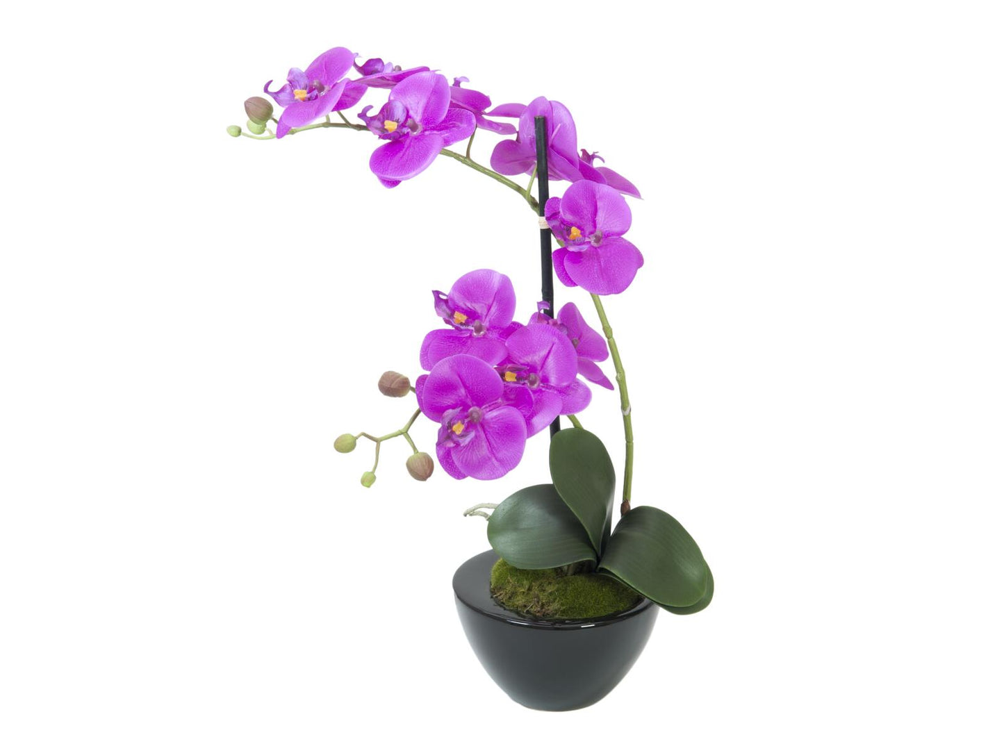 EUROPALMS Orchideen-Arrangement 4 künstlich